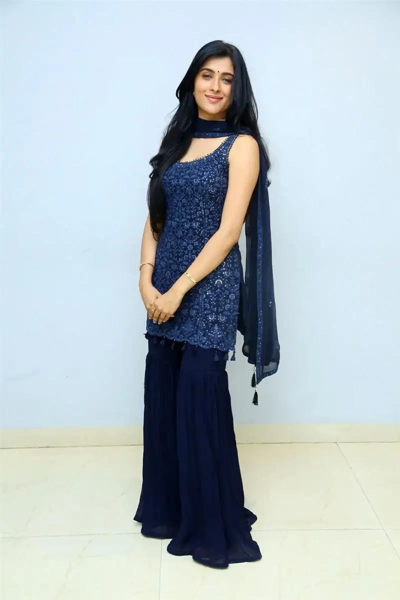 TELUGU GIRL GEETHIKA TIWARY AT AHIMSA MOVIE PRESS MEET 7